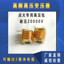 小体积高频高压包点火模块高频高压20KV变压器点火线圈负离子其他
