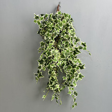 仿真常春藤葡萄叶花藤仿真藤蔓常春藤绿色装饰绿植藤条壁挂假绿植