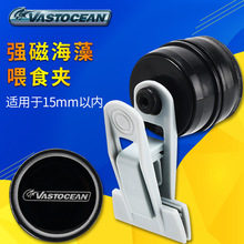 Vastocean���ź���ιʳ�A�ϲˊA�������߲ˊA��̦�ϲˊA