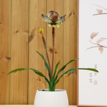 ���滨 �m�� �͏d�ҾӔ[����ͯ���m�U��廨�b��~���m�ٻ�����