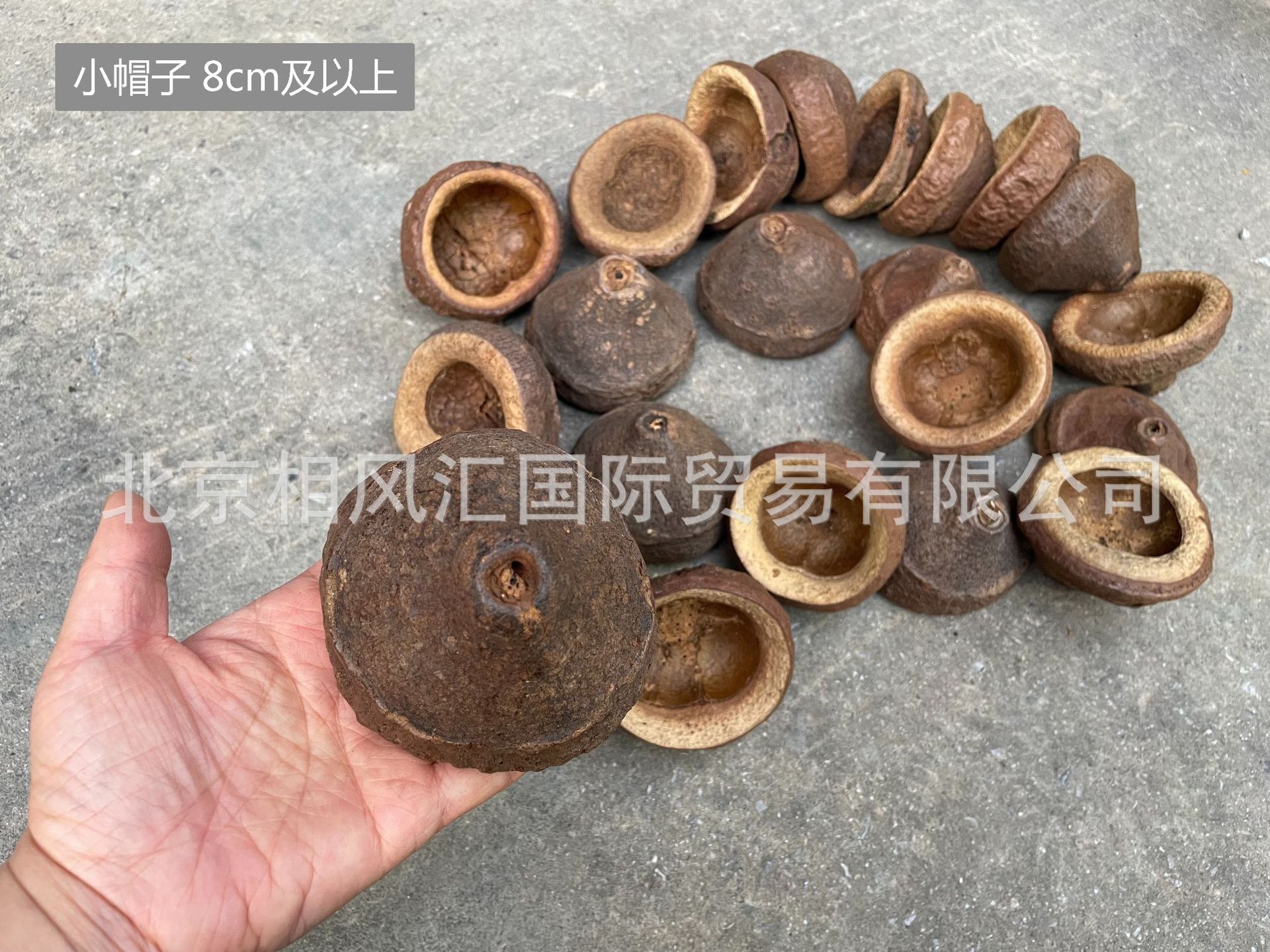 小帽子8cm及以上-7.jpg