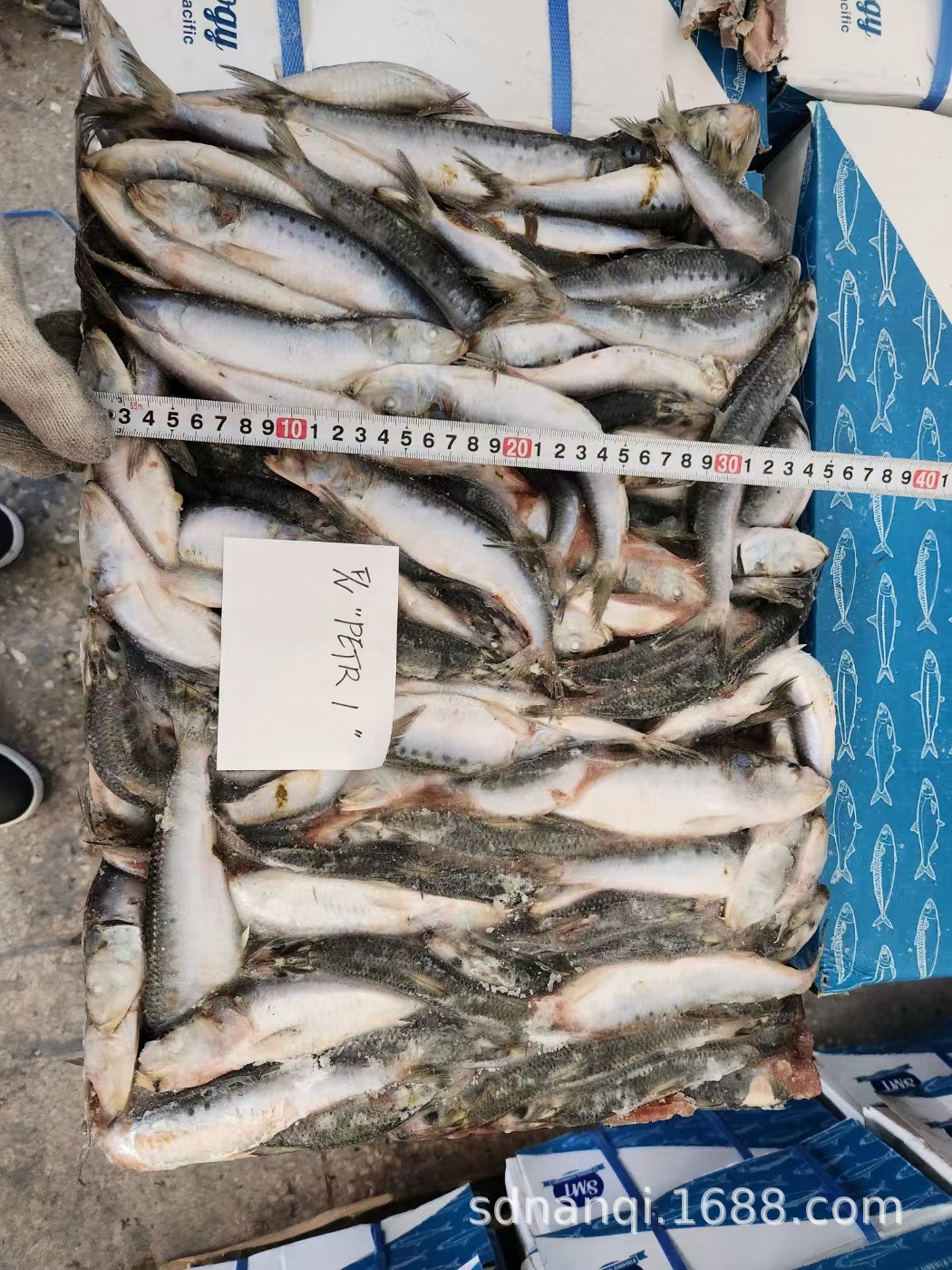 山东南启水产贸易有限公司 微信图片_20230102154122.jpg