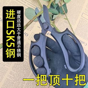 Deao Super Hard Floral Scissors, Flower Scissors, Rose Scissors, Home Flower Arrangement Scissors, Flower Shop Scissors, Special Scissors for Cutting Flower Branches