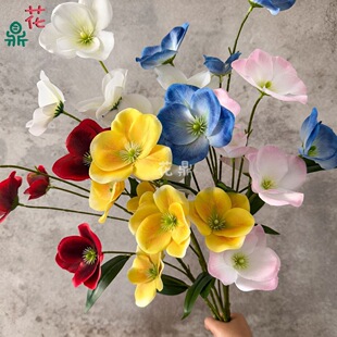�ÿ� С�ٺ� ��c�쾰��̨·���廨���� �ҾӾƵ��b��滨�[��