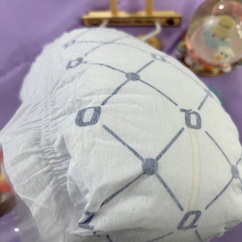 800微信图片_20230923222809_副本