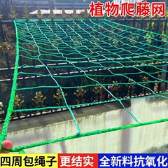 植物のつる網、園芸用支柱網、果物や花のつる栽培用網