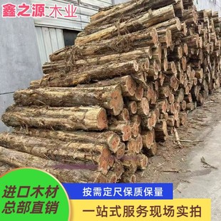 �������ľ ��ľ�۲�ľ�� �t�İ� �tѩ��ԭľ�۲ďS�����l �tѩ��