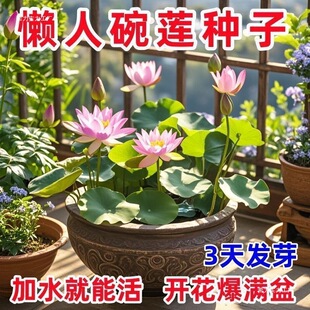 ��7��lѿ����ɏ�N�ļ��_��ˮ���B�Gֲ��˯ɏ�ɻ��o��ˮɏ��ˮ�B