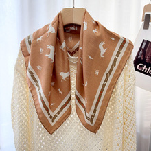 �ﶬ�¿�zë65����z��ë�p���pɫ��߅������w�����z�탞������