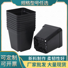 ��ɫ�������������绨�����Q�羳���l���طNֲ�Ӻ������籭����