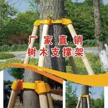 园林绿化树木支撑杆树木苗木固定器树木塑料套杯木棍支撑三脚架