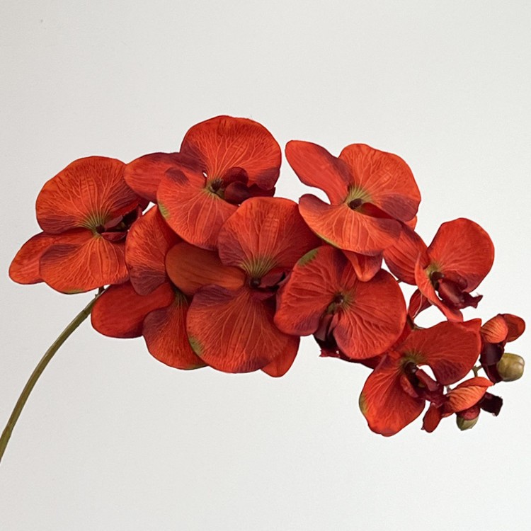 Orquídea de mariposa impresión 3D de 10 cabezas de impresión de flores falsas decoración de sala de estar de alta calidad decoración de flores secas