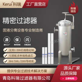 精细化工精密过滤器PP棉熔喷滤芯RO前置保安过滤器水处理过滤设备