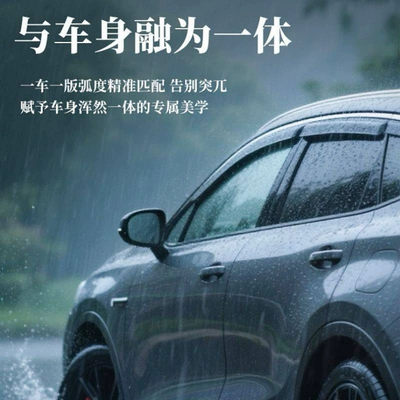 Rain shield, Qiyuan Q05 special car window