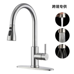 国境を越えた304ステンレス製キッチン温冷水栓、洗い流し用引き出し式ステンレス製蛇口、万方向伸縮式エクステンダー