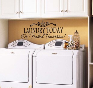 laundry���Ƴ��W������Ӣ��Ԋ���Q���N�S�Ҷ���D�������lTB-8032