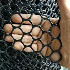 加厚养殖用网小鸡脚踩网塑料网养鸡鸭鹅垫底漏粪育雏养殖网塑料网