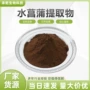 水溶大叶水菖蒲提取物