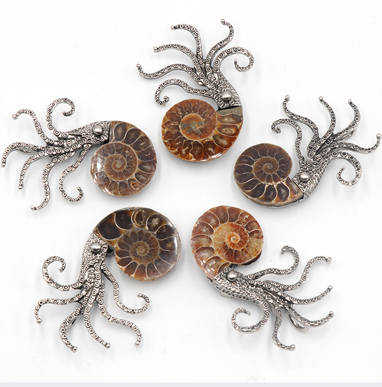 33g Weight Charms, Jewelry Accessories Classification Vacation Pin Conch Octopus Shell Charms Jewelry Accessories 1 Piece