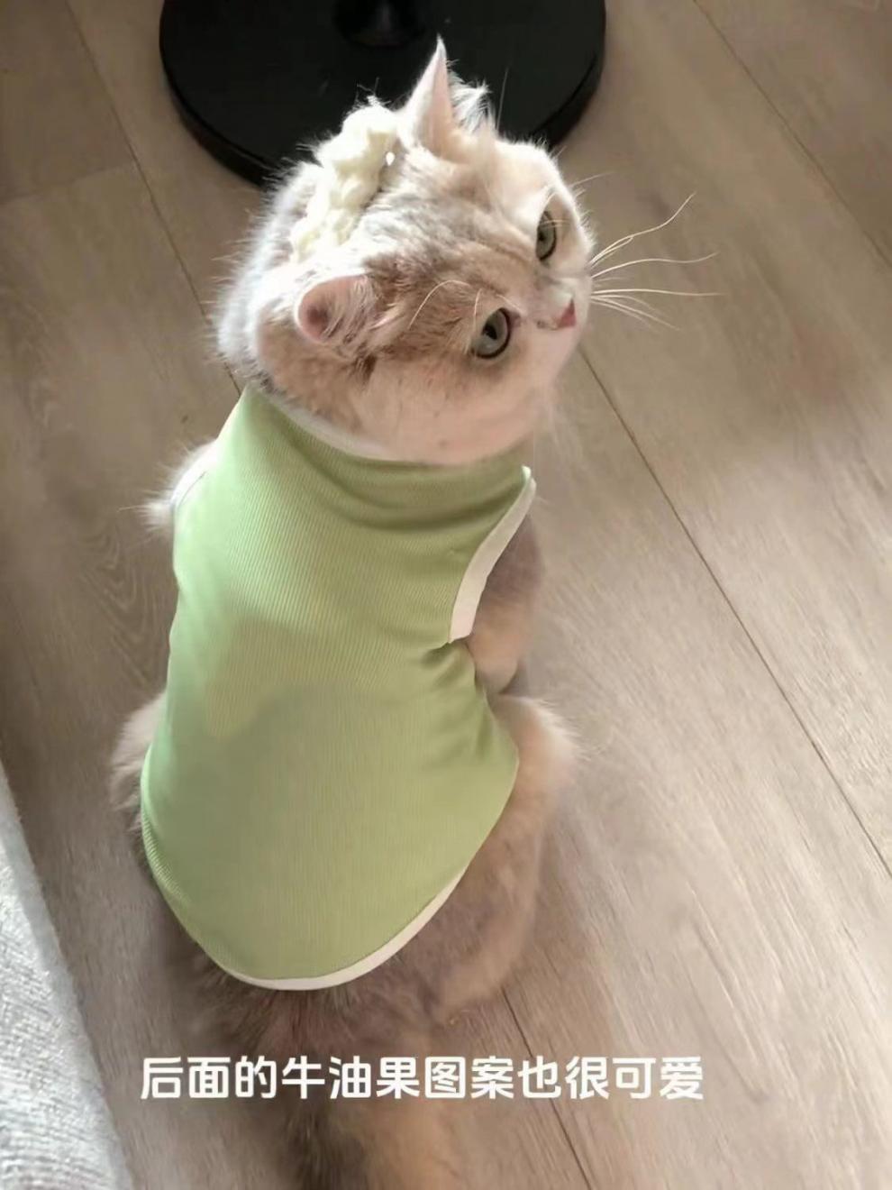 5f096bb3-7eed-4925-bcef-92a915ed39e6.jpe