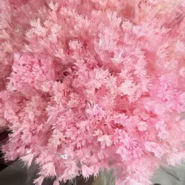 鲜花花艺制品;永生花;干花