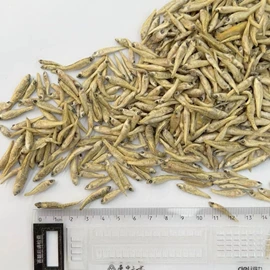 观赏鱼饲料;猫猫零食;观赏龟、鳖