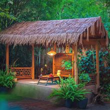 é�ݛ�ͤ����ͥԺ������ʽ���@ľ��¶̨�¹����e��ͤ�����쾰�L��