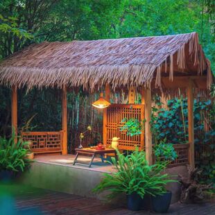 é�ݛ�ͤ����ͥԺ������ʽ���@ľ��¶̨�¹����e��ͤ�����쾰�L��