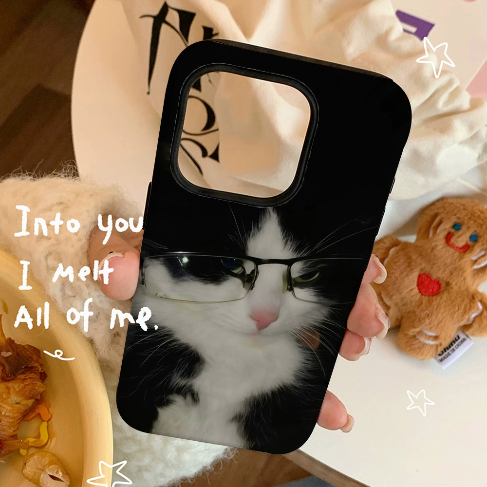 Apple, iPhone16, совместимый iPhone16 Pro, чехол для телефона, 2 в 1, 14/13/12
