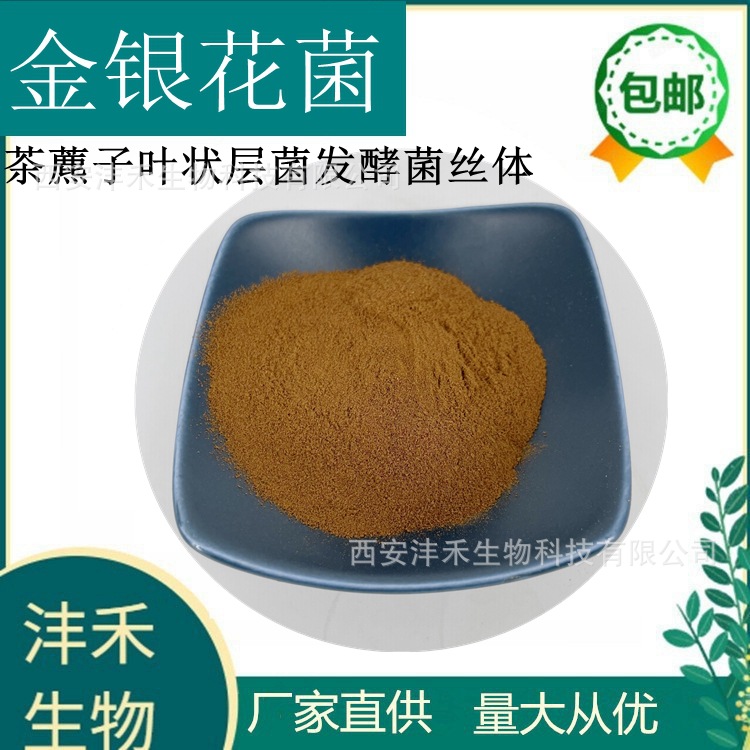 茶藨子叶状层菌发酵菌丝体粉98% 金银花菌 沣禾生物 工厂直销