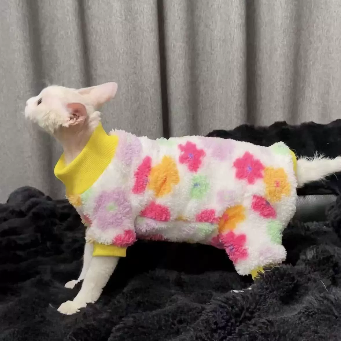 25年新款无毛猫德文猫衣服保暖加厚柔软舒服印花长袖打底四脚衣