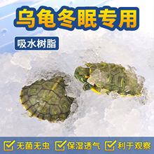 乌龟冬眠箱爬宠饲养盒蜘蛛蝎子角蛙蜥蜴蜗牛吸水树脂宠物箱乌龟缸