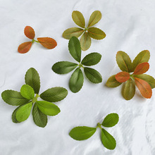 仿真海岛春花叶单片绿叶子假树叶工程景观插树假叶片枯树枝装饰叶