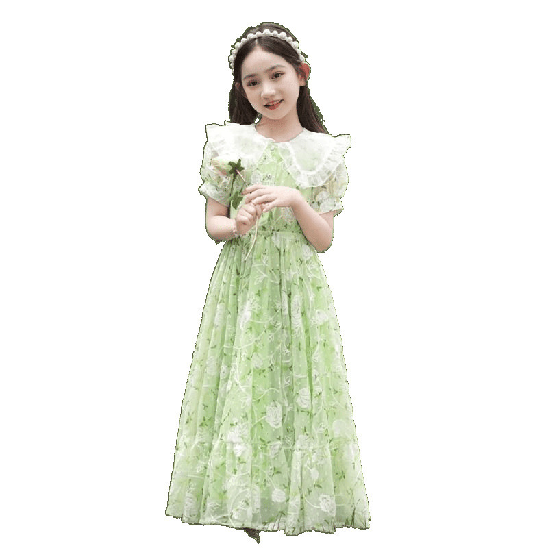 女の子花柄ドレス 2025 新しい夏の子供のプリンセスドレス女の子ファッショナブルなスカート大きな子供のシフォンロングスカート|undefined