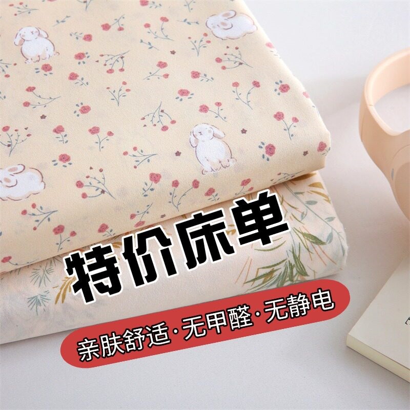 Special Offer Single Piece Cartoon-Style Bed Sheet, New Model for Single Student Dormitory or Double Home Use, Skin-Friendly Brushed Fabric, Suitable for Sleeping Naked, Winter