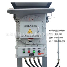 RHH-303壁挂防爆微量氢气分析仪厂家直销/电化学H2检测变送仪价格