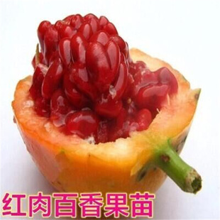 �炐�ȁ�����������J���S��������N�����½Y���ϱ��Nֲ