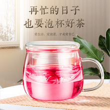 苏宁宜品高硼硅花茶杯玻璃杯带把茶水分离过滤泡茶杯家用400毫升