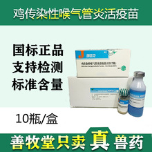 兽用疫苗 呼匹克 鸡用鸡传染性喉气管炎药家禽鸟鸽子鹦鹉药 批发