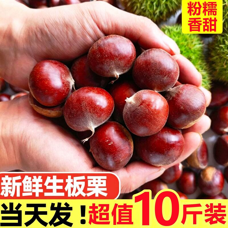 2026 Fresh Chestnuts, Raw Chestnuts, Fresh Hairy Chestnuts, 5kg Dandong Chestnut Balls, Seasonal Vegetables, Whole Box 2026 Fresh Chestnuts, Raw Chestnuts, Fresh Hairy Chestnuts, 5kg Dandong Chestnut Balls, Seasonal Vegetables, Whole Box