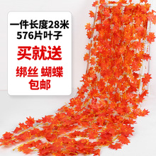 �t���~�ٗl���ϻ��٘��~���b������ٻ���ŵ��ֲ��ܵ��p�@