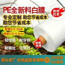 大棚塑料膜薄膜农业蔬菜膜农膜种菜塑料布农用透明保温白色大棚膜
