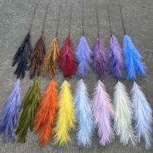 新款仿真芦苇花厂家12头芦苇孔雀草白色婚礼橱窗装饰假花批发