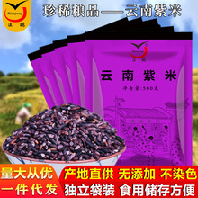 【滇鵬】紫糯米當季新米雲南特產紫米正宗墨江老品種血糯米