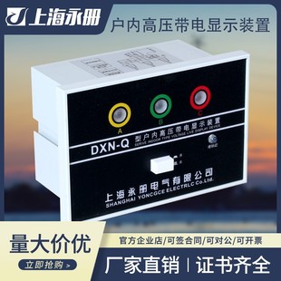帶電顯示器 DXN-10Q/T戶內高壓 DXN8-Q/T 高壓櫃用可帶驗電帶核相
