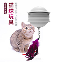 Cat toy