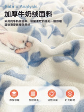 �����Ӻ�ţ�̽q�ļ���ɺ���q�����p��ӽqë���δ��������׷��m�q