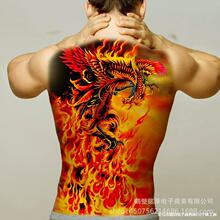 2025�¿�M���y���N��Ůˇ��ԡ���P���������ϻ����F؛�羳؛Դ