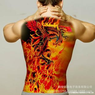 2025�¿�M���y���N��Ůˇ��ԡ���P���������ϻ����F؛�羳؛Դ