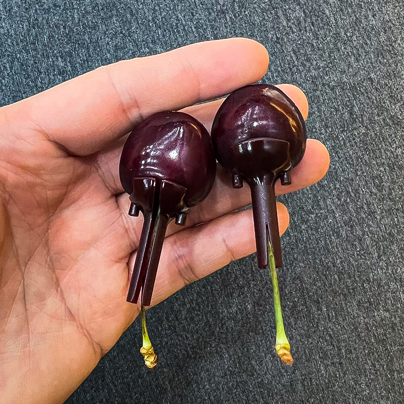 Soporte fijo para cerezas, paquete de materiales para ramo de frutas, ramo de floristería, brocheta de bambú semiterminada, materiales para flores de regalo al por mayor
